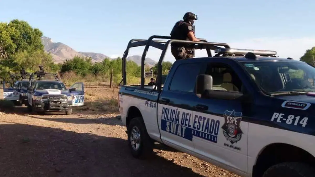 movilización _ patrullas _ policías estatales